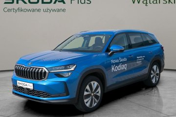 Salon Polska / AUTO DEALERA / 4x4 / DSG / HAK / Selection / FV 23%