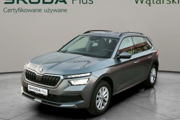 Salon Polska / Serwis ASO / I Właściciel / AUTO DEALERA / FV VAT 23%