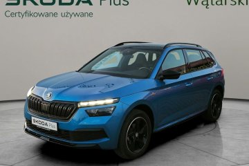 Salon Polska / Serwis ASO / MONTE CARLO / DSG / PANORAMA / FV 23%